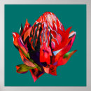 Suche nach watercolor flower poster Aquarell