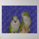 Suche nach niedlicher vogel poster Baby