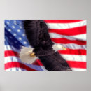 Suche nach adler amerika poster Flagge