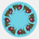 Suche nach marienkäfer aufkleber Insekt