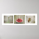 Suche nach cherry poster Kirschen