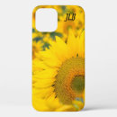 Suche nach sonnenblumen geschenke Pflanze