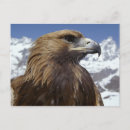 Suche nach majestätisches tier poster Federn