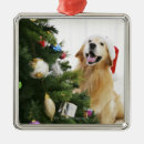 Suche nach golden retriever ornamente Spaß