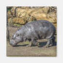 Suche nach hippo magnete Tiere