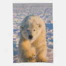 Suche nach nahaufnahme geschirr tücher Fauna