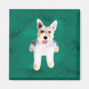 Suche nach miniature schnauzer magnete Rasse