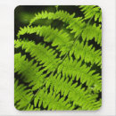 Suche nach farn mousepads Grün
