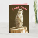 Suche nach meerkat karten Niedlich