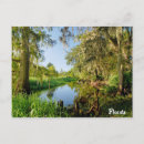 Suche nach florida postkarten Fotografie