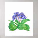 Suche nach veilchen poster Aquarell