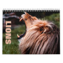 Suche nach lion kalender Wild lebende tiere
