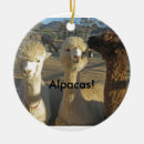 Suche nach alpakas ornamente Niedlich