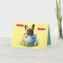 Suche nach ostereier alle karten Frohe ostern