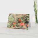 Suche nach orange schmetterling karten Mother