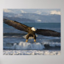 Suche nach homen poster Natur