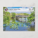 Suche nach mangroven poster Nationalpark everglades