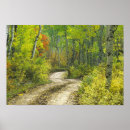 Suche nach espen poster Colorado