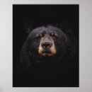 Suche nach beutel poster Landschaft