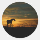 Suche nach schönes pferd aufkleber Pferde