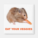 Suche nach veggie magnete Karotten