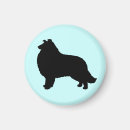 Suche nach für collies magnete Haustiere