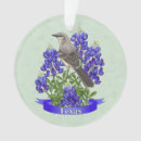 Suche nach spottdrossel ornamente Staat
