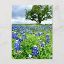 Suche nach frühling postkarten Wildblumen