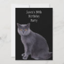 Suche nach graue katze einladungen Tiere