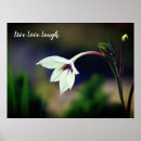 Suche nach mit blumen poster Blumenfotografie