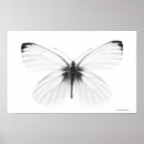 Suche nach studioschuß poster Schwarzweiss