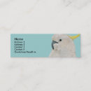 Suche nach papageien visitenkarten Cockatoo