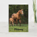 Suche nach fohlen karten Foto