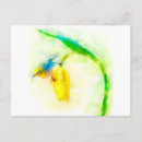 Suche nach weiße tulpe postkarten Aquarell
