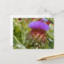 Suche nach artischocken postkarten Nahrung