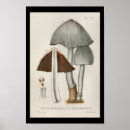Suche nach weißer pilz poster Vintag