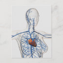 Suche nach taille postkarten Medizin