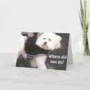 Suche nach oops karten Vergessen