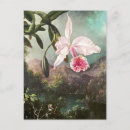 Suche nach botanische illustration postkarten Blumenreich