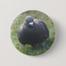 Suche nach federn runde buttons Fotografie