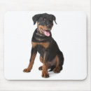 Suche nach glücklicher hund mousepads Welpe