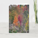 Suche nach palette alle karten Farbe