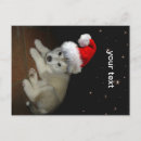 Suche nach schlittenhunde karten Weihnachten