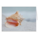 Suche nach tritonshorn postkarten Ozean