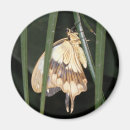 Suche nach motten magnete Tiere