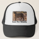 Suche nach lebende kappen Wild lebende tiere