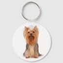 Suche nach yorkshire schlüsselanhänger Yorkie
