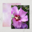 Suche nach der schreiner karten Blume