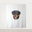 Suche nach rottweiler welpen poster Weimaraner