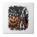 Suche nach boston terrier fliesen Weimaraner